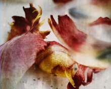 Photographer: Lena Granefelt gallery