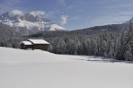 shoot in the alps