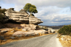 camino media spain and portugal