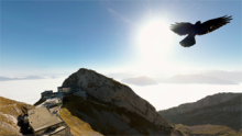 Director: Urs Wyss - Rep. by Avocado 360° gallery