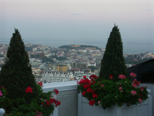 :  gallery