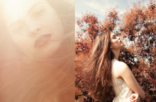 :  gallery