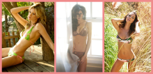 :  gallery