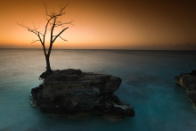 :  gallery