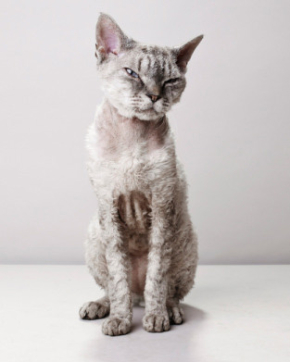 Photographer: Toby Coulson gallery
