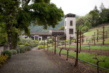 :  gallery