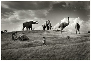 Notodofotofest