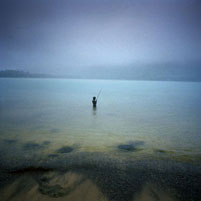 Notodofotofest