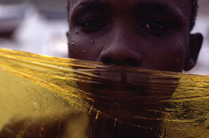 Notodofotofest