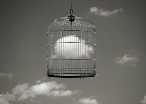 Notodofotofest