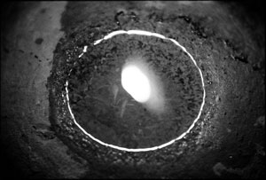 Notodofotofest