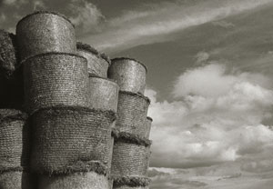 Notodofotofest