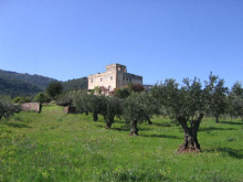 :  gallery