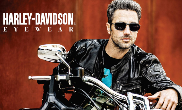 Client: Harley Davidson for Viva International Group gallery