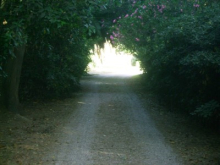 :  gallery