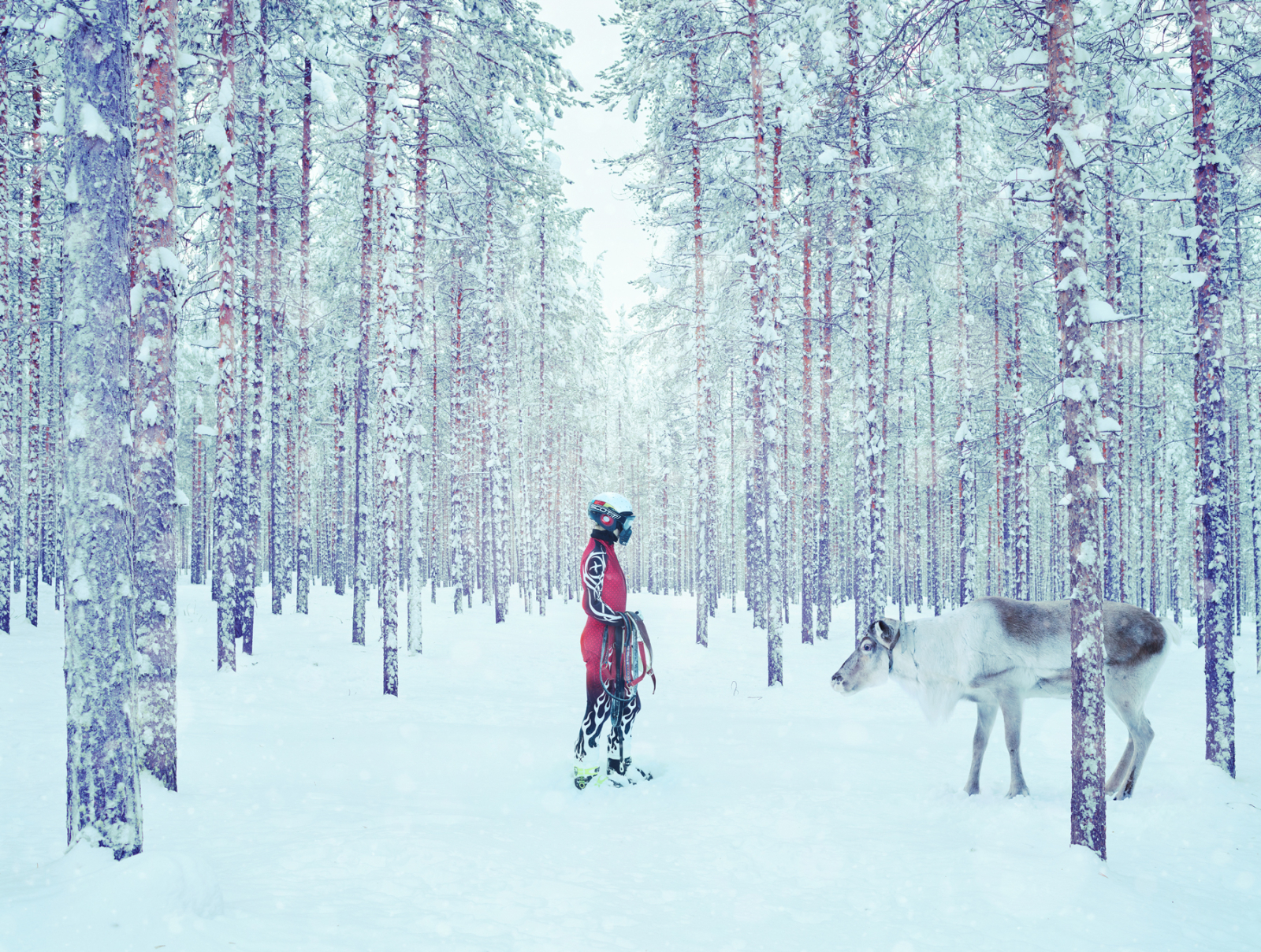 Todd Antony