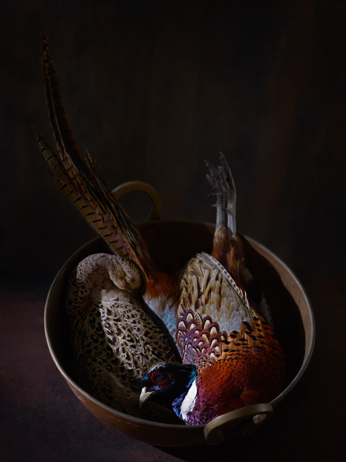 Francine Zaslow