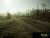 landscape photographers