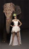 fashion photographers