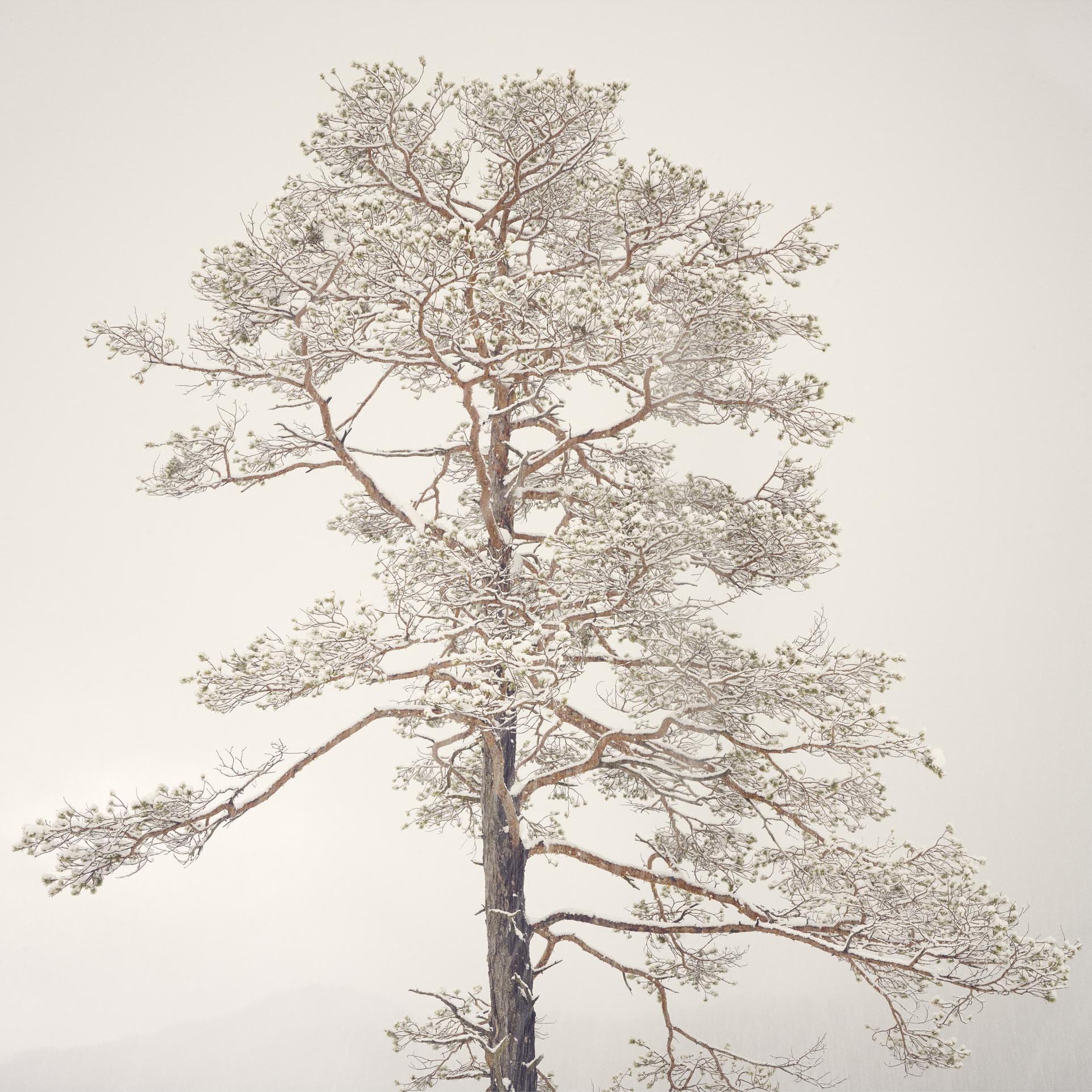art & fine art photographers