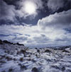 landscape photographers