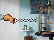 conceptual photographers