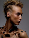 Hansdevries Photography