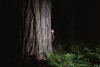 landscape photographers