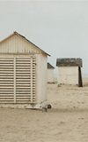 documentary & reportage photographers