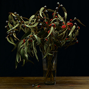 still life photographers