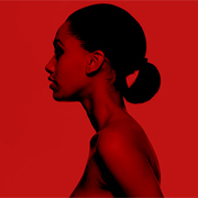 beauty photographers