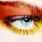 beauty photographers