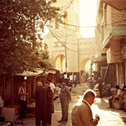 travel photographers
