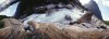 landscape photographers