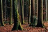 landscape photographers