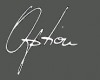 Option Model Agency
