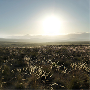 landscape photographers