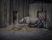conceptual photographers