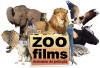 commercials / animal directors