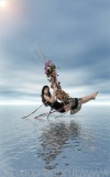 beauty photographers