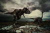 retouching/ photo