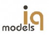 IQ models