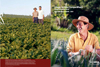 corporate & industrial photographers
