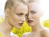 beauty photographers