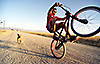 sports photographers