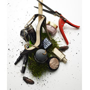 still life photographers