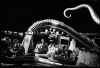 people & lifestyle photographers