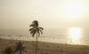 landscape photographers