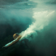 underwater photographers