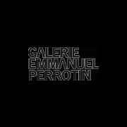 Galerie Emmanuel Perrotin